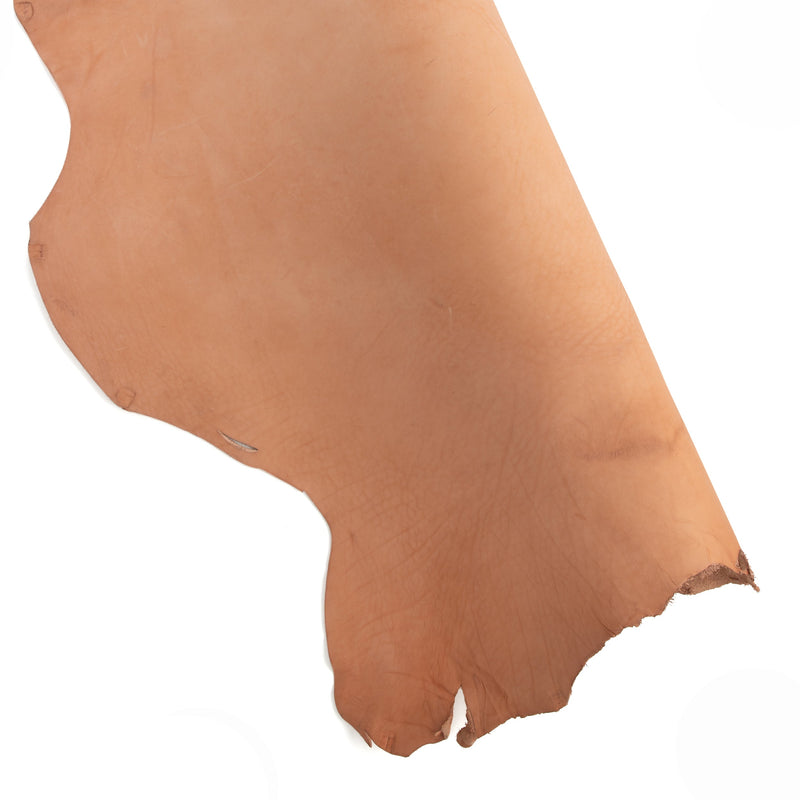 Économique Veg-Tan Selle Plinthe Côté Golden Rose