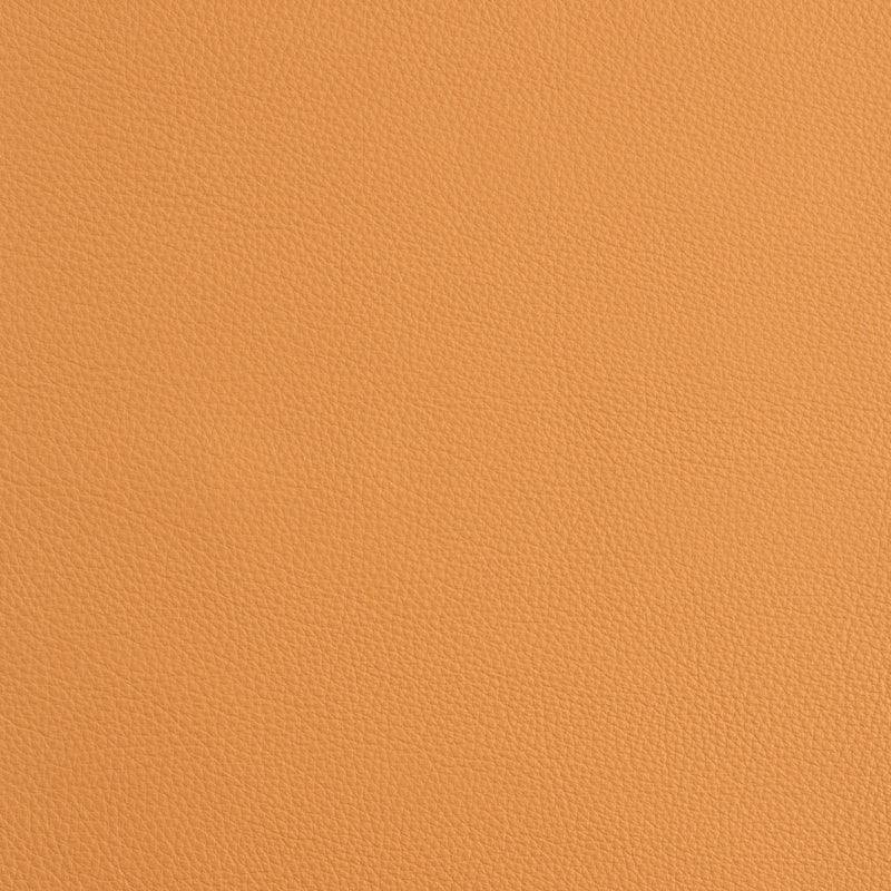 Kaleidoscope Prescott Whole Hide - Warm Tones