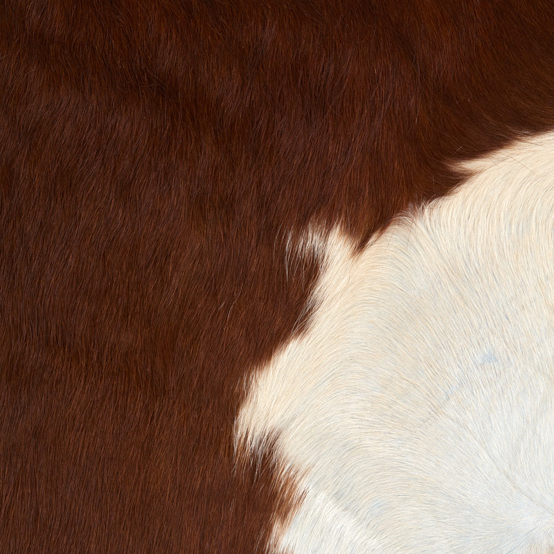 Hair-On Cowhide Rug Brown & White