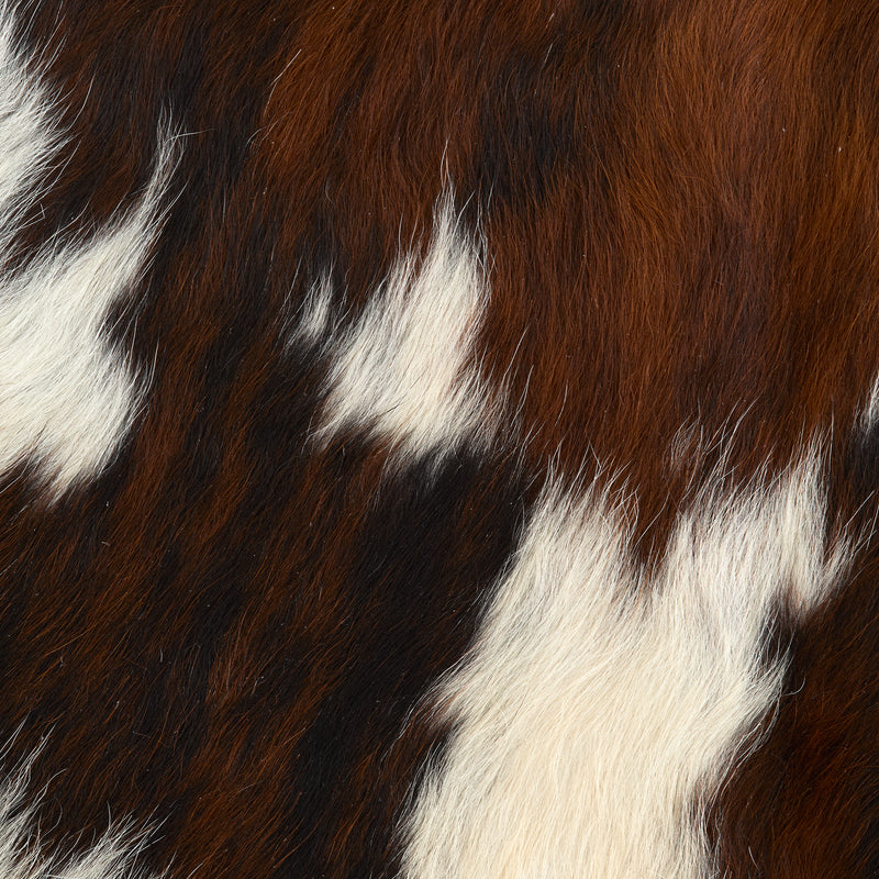 Hair-On Cowhide Rug Exotic Tri-Color