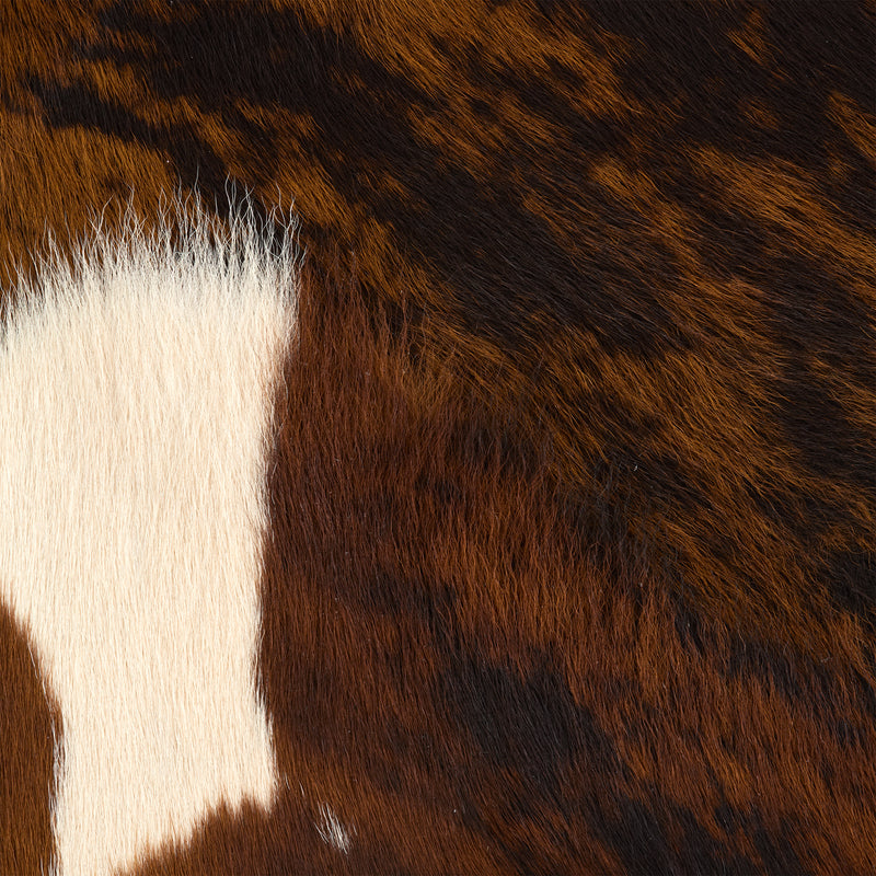 Hair-On Calfskin Exotic