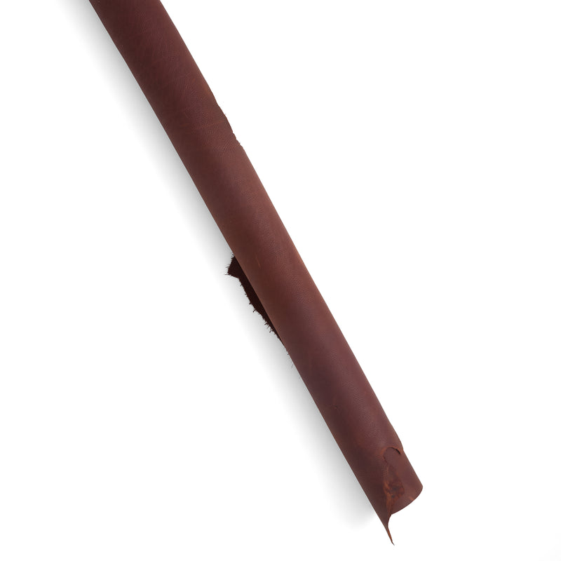 Barracuda utilitaire noyer latéral