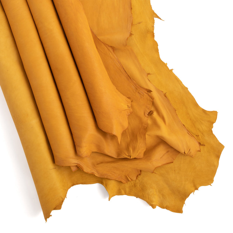 Selección Piel de venado norteamericano
