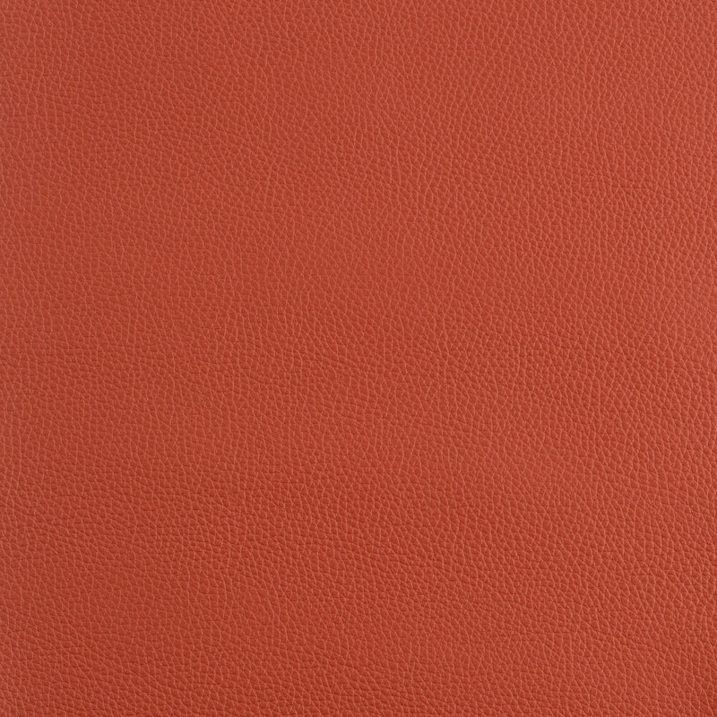 Kaleidoscope Prescott Whole Hide - Warm Tones