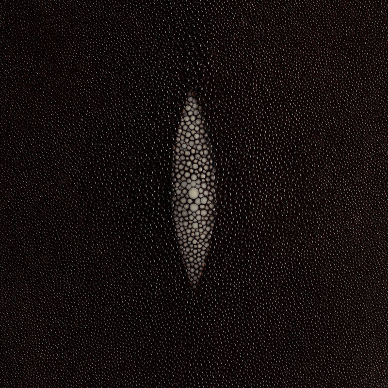 Stingray Small Skin