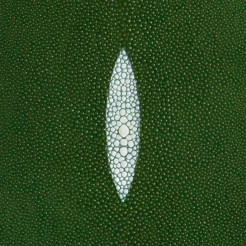 Stingray Small Skin