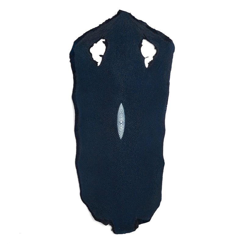 Stingray Small Skin