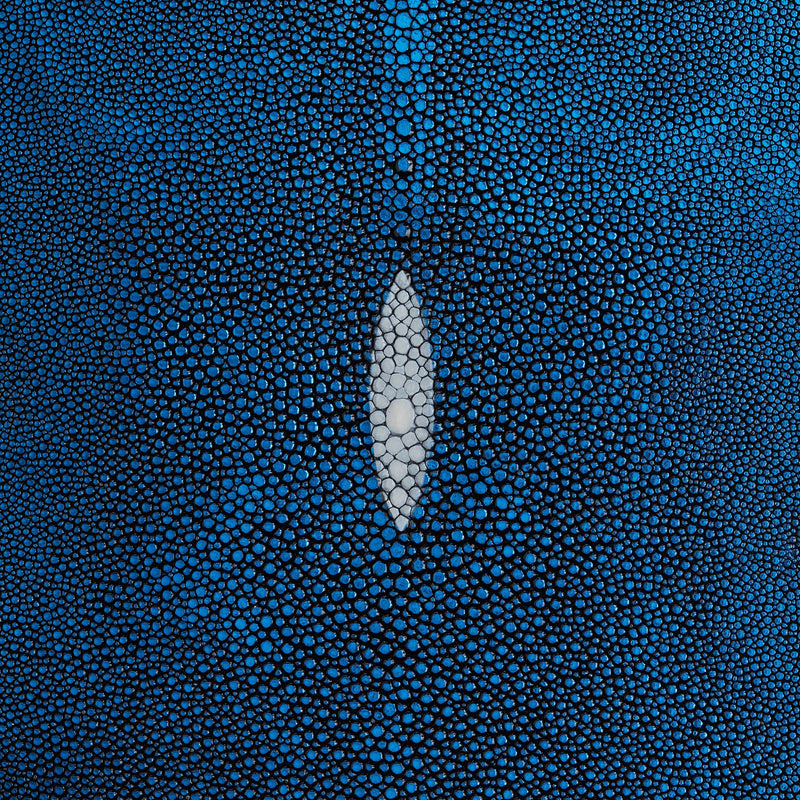 Metallic Stingray Skin