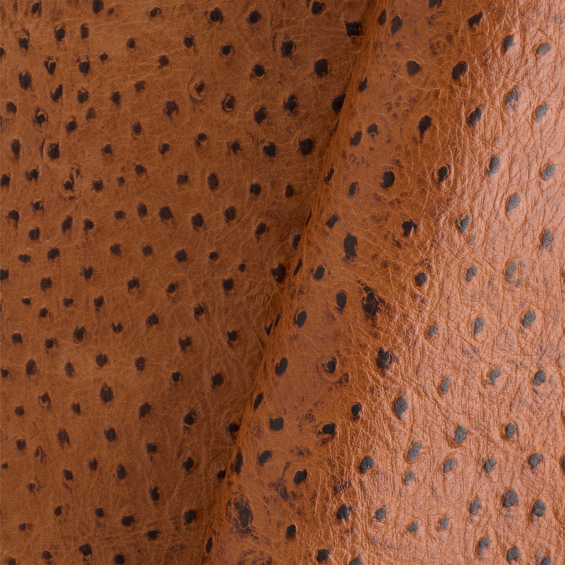 Ostrich Print Side