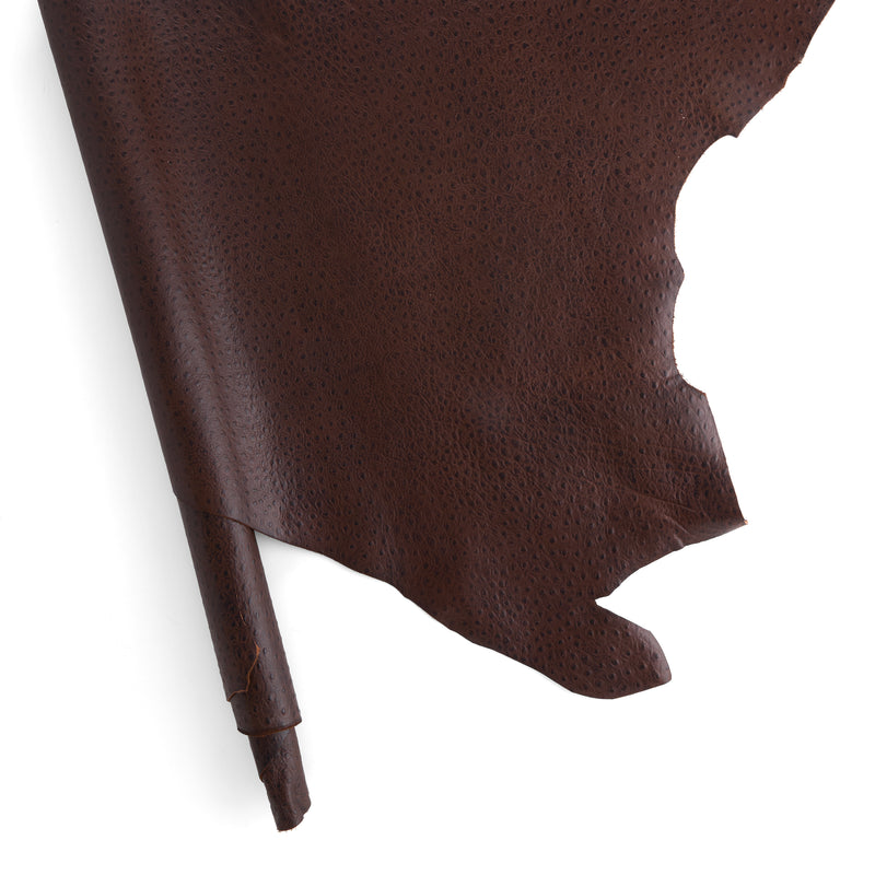 Ostrich Print Side