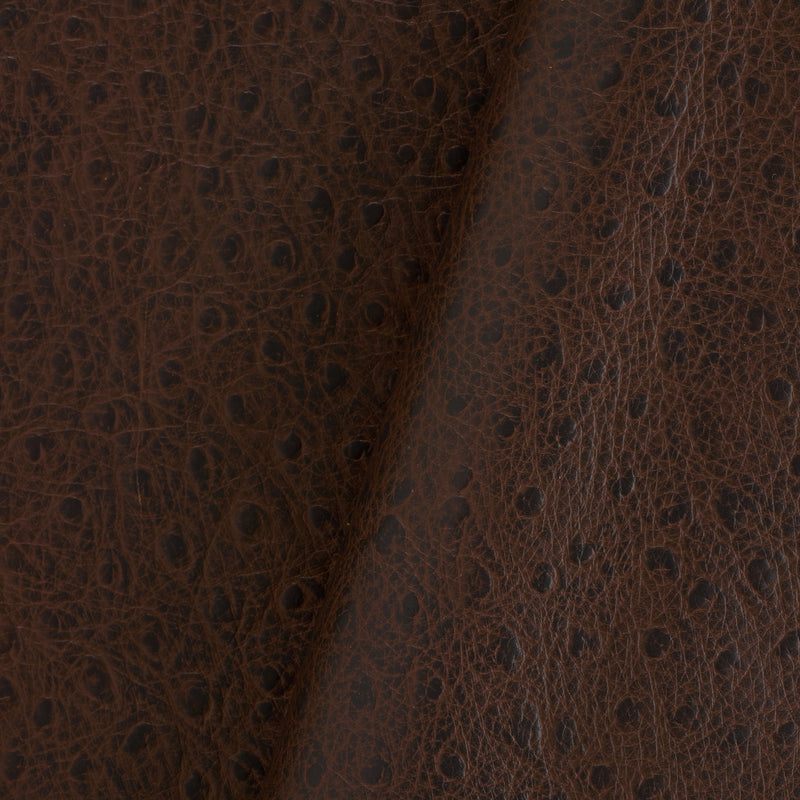 Ostrich Print Side