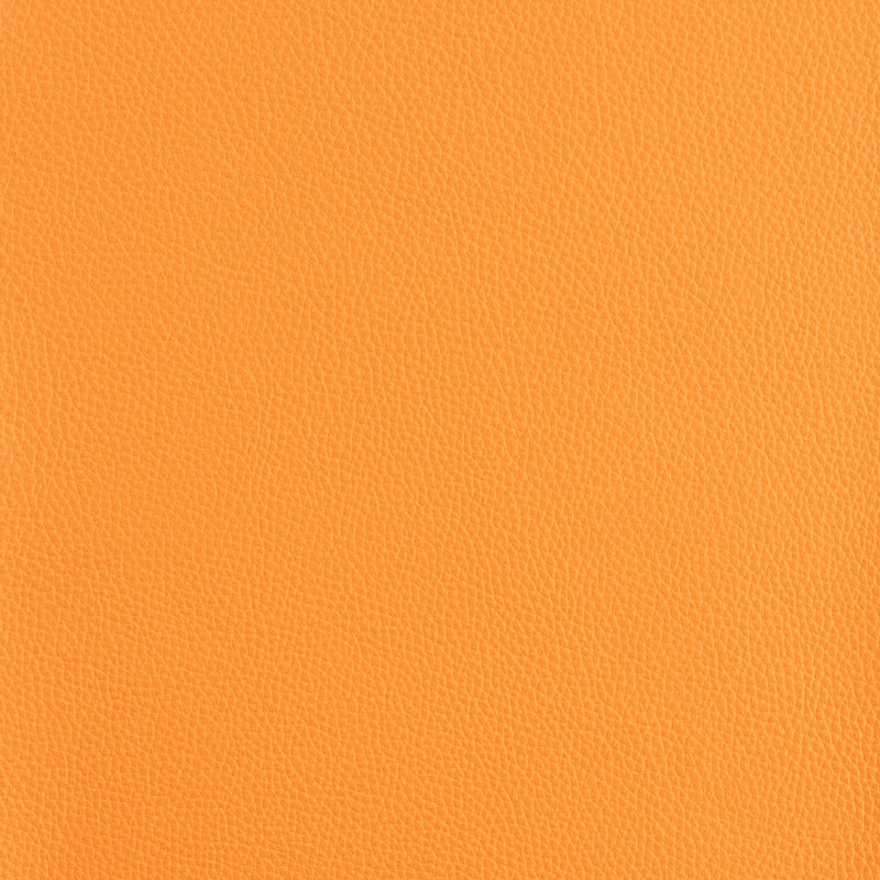 Kaleidoscope Prescott Whole Hide - Warm Tones