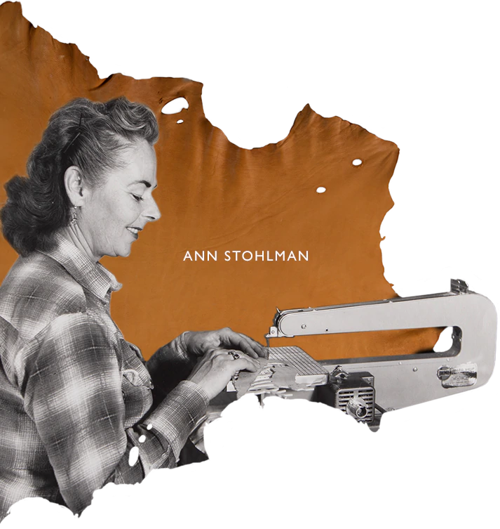 THE ARTISTRY OF ANN STOHLMAN - Banner