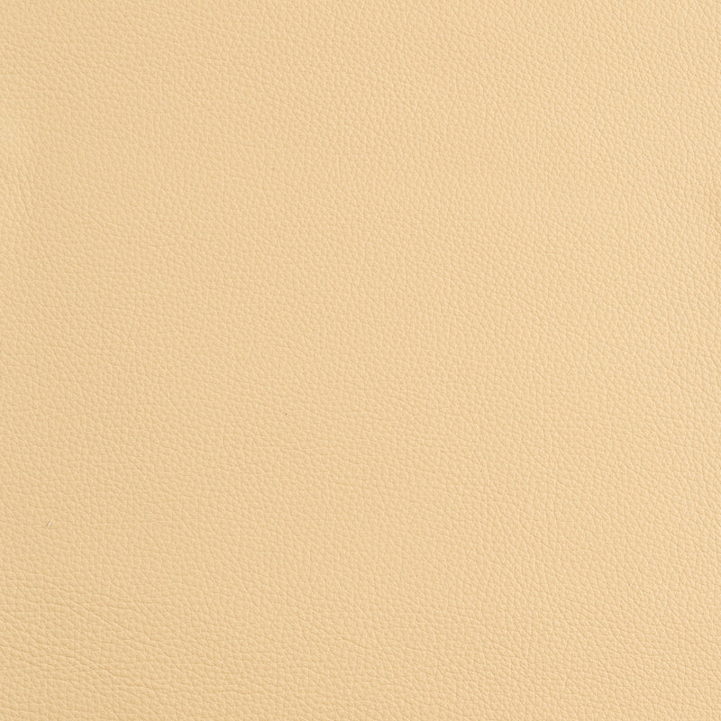 Kaleidoscope Prescott Whole Hide - Warm Tones