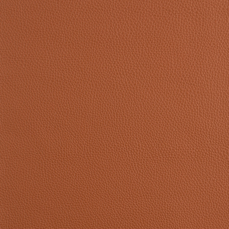 Kaleidoscope Prescott Whole Hide - Warm Tones