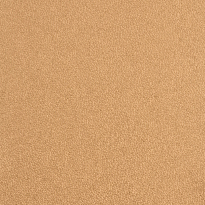 Kaleidoscope Prescott Whole Hide - Warm Tones