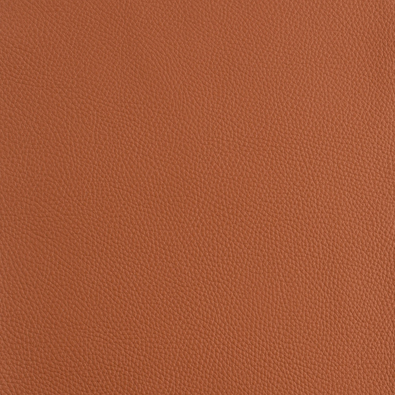 Kaleidoscope Prescott Whole Hide - Warm Tones