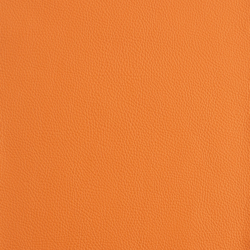 Kaleidoscope Prescott Whole Hide - Warm Tones